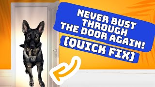 Secrets Revealed: Teach Your Dog To Wait At The Door