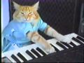 charlie schmidt&#39;s cool cat hip hop version