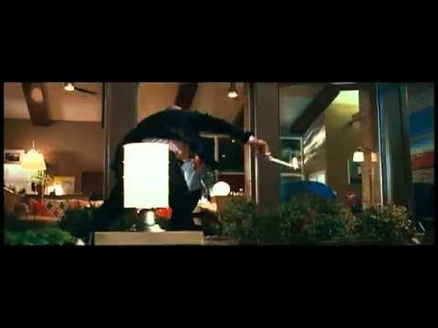 Trailer Rapirea/Abduction