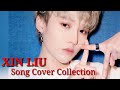 XIN LIU Song Cover Collection