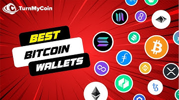 best bitcoin wallets 2024 | top crypto wallets for beginners