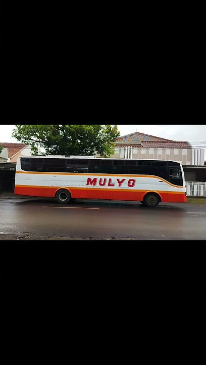 Bus Mulyo, Murni Jaya, Sinar Jaya, Truk Tangki pertamina#bus #Truk #shorts #viral #youtube #trending