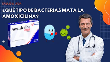 ¿Qué bacterias no trata la amoxicilina?