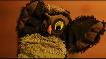 Thumbnail of Hej miśki czas wstać, jak można tak spać. Pobudka dla dzieci