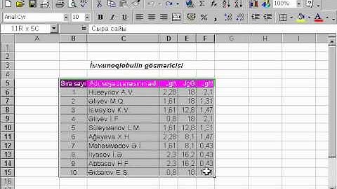 Microsoft Excel 2003 Azərbaycanca - Dərs 7.2 Verilənlərin nizamlanması