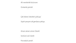 Aşık Seyrani Deve Yüksek Atamadım Urganı Şarkı Sözü Resimi