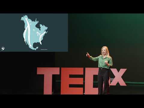 Negotiating the Right-of-Way Between Humans and Wildlife | Nikki Robinson | TEDxAsheville