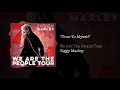 True To Myself – Ziggy Marley live | We Are The People Tour, 2017