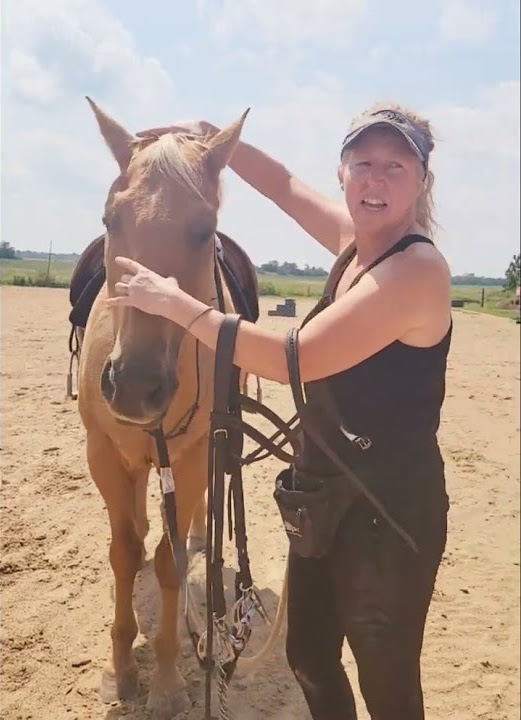 teaching-a-horse-to-lower-his-head-pressure-release-youtube
