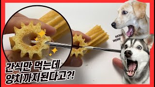 큰 댕댕이들을 위한 매머드플랫져키