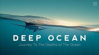 Journey to the depths of the ocean [ai video]