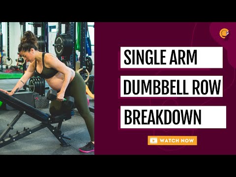 Single Arm Dumbbell Row