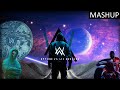 Mashup of every Alan Walker song ever