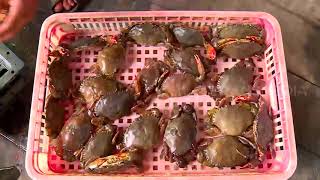 Budidaya Kepiting Soka | RAGAM INDONESIA (14/09/20)