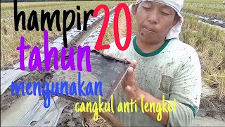 pengunaan cangkul anti lengket .(inovasi pertanian 2021) alat pertanian