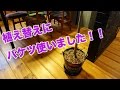 【DIY】バケツを植木鉢に