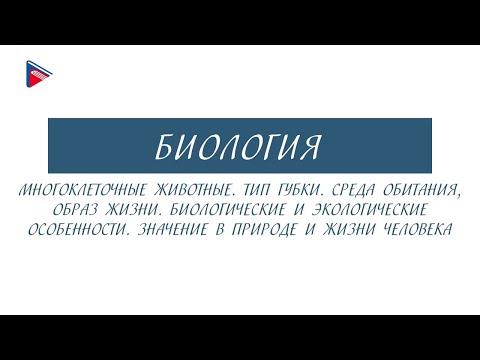 7 класс - Биология - Многоклеточные животные. Тип губки. Среда обитания, образ жизни. Особенности