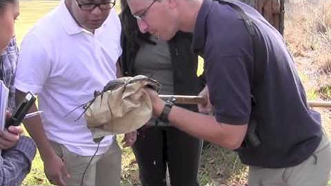 Stephan Lorenz Faculty Spotlight