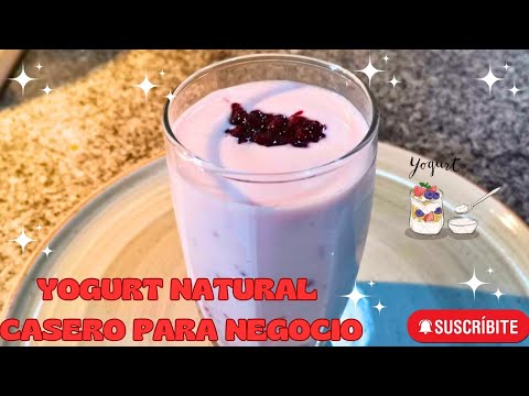 YOGURT para VENDER 4 sabores 🍑MELOCOTÓN 🍓FRESA🥥 COCO Y MORA💜 yogurt  CASERO para NEGOCIO 