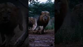 motivation video #motivation 💥 #positivity ✊️#motivational #friends 💪💪#shorts