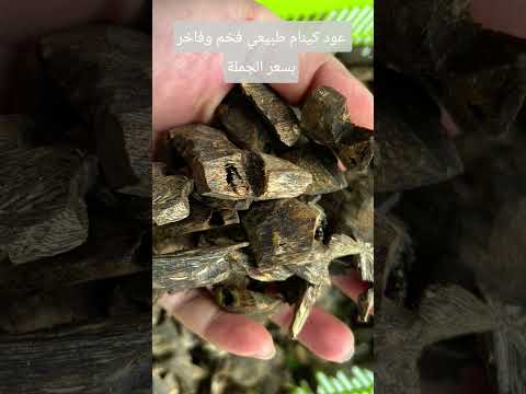 عود كينام طبيعي ١٠٠ بسعر الجملة عرض خاص وشحن مجانا