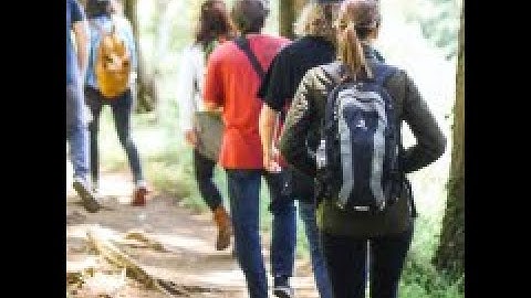 Explanation that Team-Walk uses user