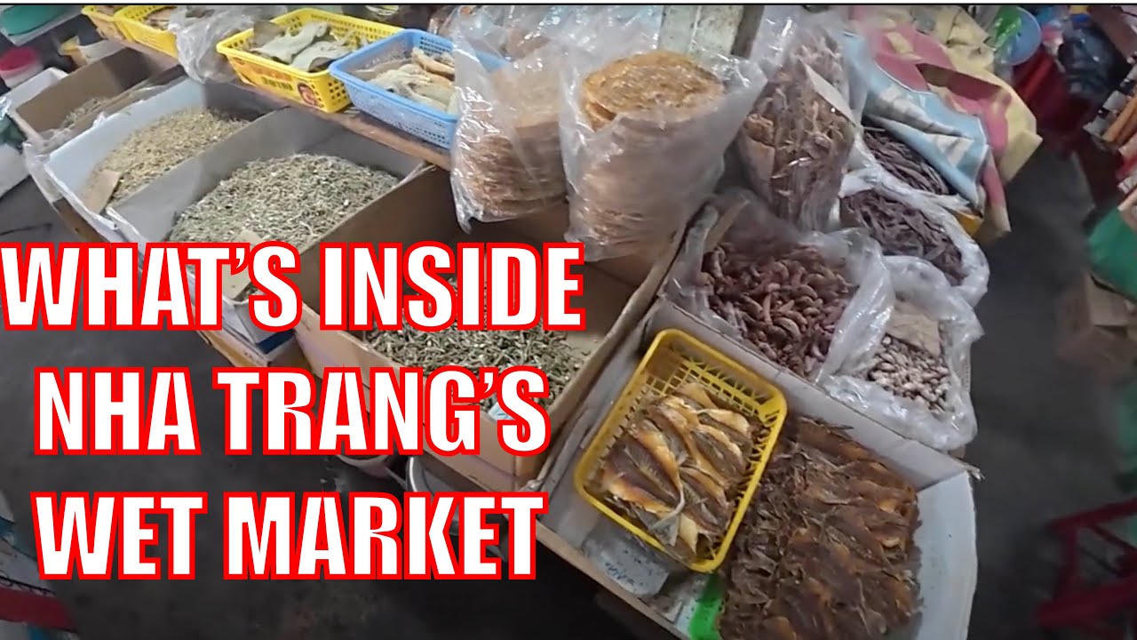 American Visits Nha Trang's Rat Infested Wet Market
