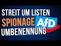 Irre der kreml wollte sogar die afd umbenennen  afd news