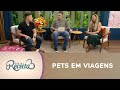 Quais os cuidados ter com os pets em viagens?