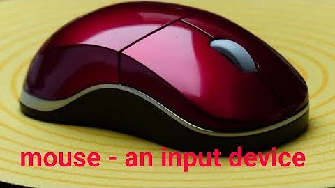 Mouse -an input device || class 4 || by Rashmi sinha