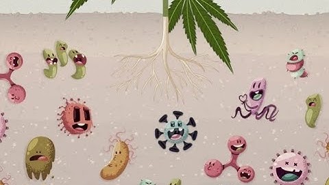 The Hidden Life of Soil - Unveiling Viruses and Nematodes (3 Minutes)