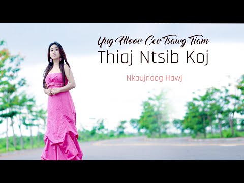 Video: Thaum twg thiaj li coj cov hnoos qeev?