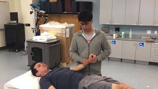 UE PNF D1 and D2 Extension & Flexion