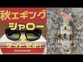 2022年　秋エギング　#8　シャロ－エリアをサイトせよ！　 SWANS(スワンズ) サングラス　ウォーリアーセブン WARRIOR-VII　インプレ