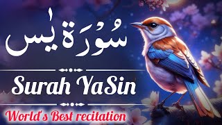 Surah Yasin(Yaseen) | Full With Arabic | Beautiful recitation| سورہ یس | Quran