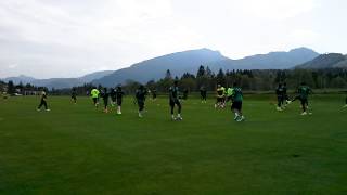 Lions indomptables
