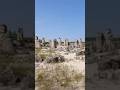 Pobiti Kamani Rock Formations (Stone Forest) #travel#bulgaria#shorts