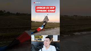 The Longest Catfish Tail Kite Ive Ever Seen shorts reaction react eldanboy