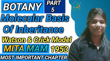 Watson & Crick Model (1953) - Molecular Basis of Inheritance | Class 12 Biology (22-23) by Mita Mam