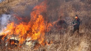 Природные пожары и смерчи в Приморье. 04.03.2024
