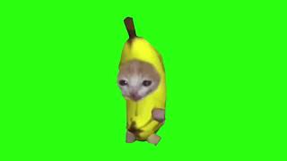 Banana Cat Running Green Screen 4K #Memes #Bananacat #Happyhappyhappycat
