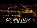 Endi  ilias  sie will liebe slowed  reverb  slowverb