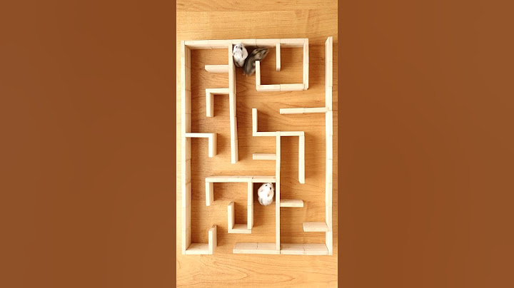 Hamster Maze Escape smart 😅