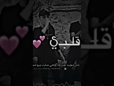 بحبك يا مجنونه انس ابو سنينه اشتراك بالقناة
