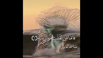 سورة القارعة♡القارئ سليم هانان♡حالات واتس أب دينيه♡ مقاطع قصيرة