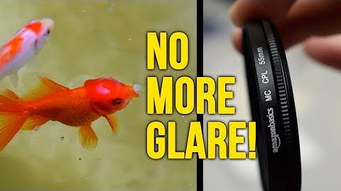 AmazonBasics Circular Polarizer Lens Review