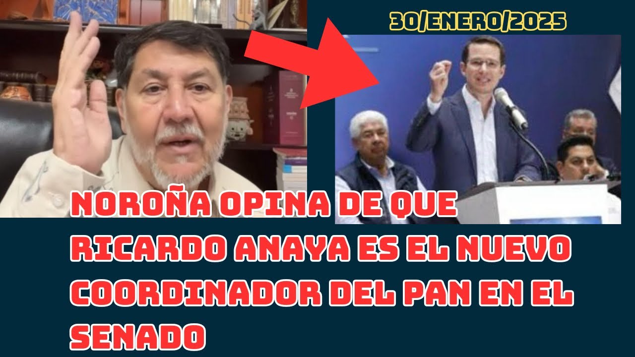 NOROÑA OPINA DE QUE RICARDO ANAYA ES EL NUEVO COORDINADOR DEL PAN EN EL ...