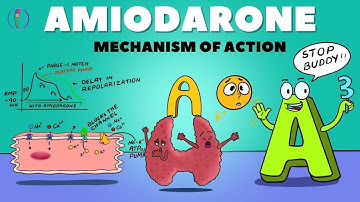 Amiodarone Mechanism of Action / How Amiodarone works / Amiodarone pharmacology and side effects