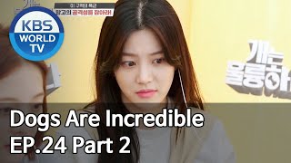 Dogs are incredible | 개는 훌륭하다 EP.24 Part 2 [SUB : ENG/2020.05.06]