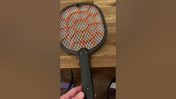 BLACK+DECKER Electric Fly Swatter, Fly Zapper, Tennis Bug Zapper Racket Review
